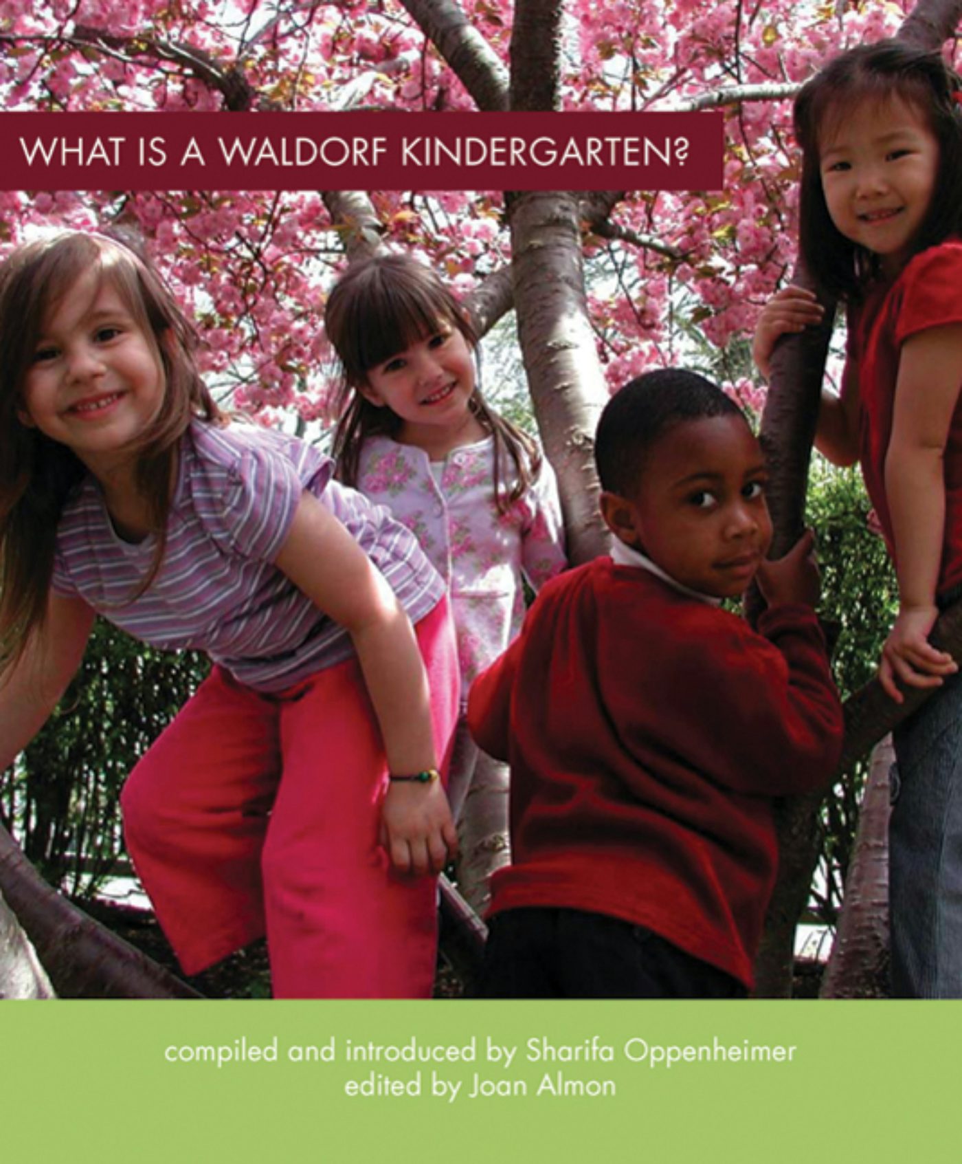 Cover image for What Is a Waldorf Kindergarten?, isbn: 9780880108379