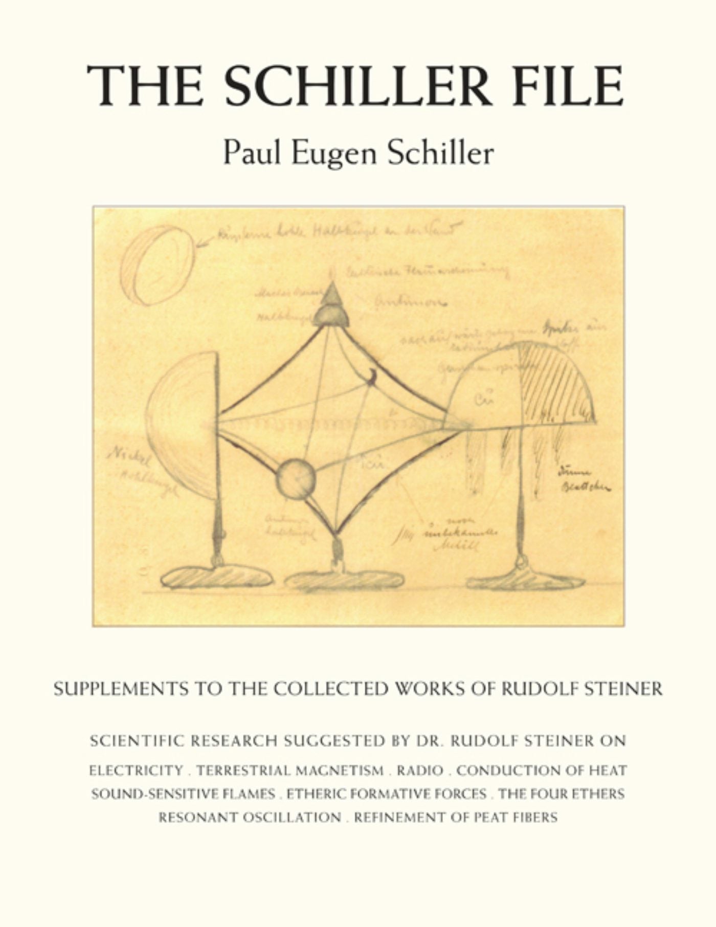 Cover image for The Schiller File, isbn: 9780880109536