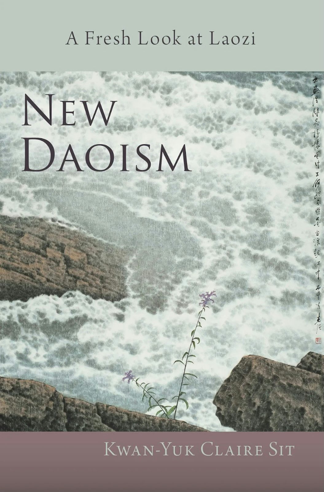 Cover image for New Daoism, isbn: 9781584208808