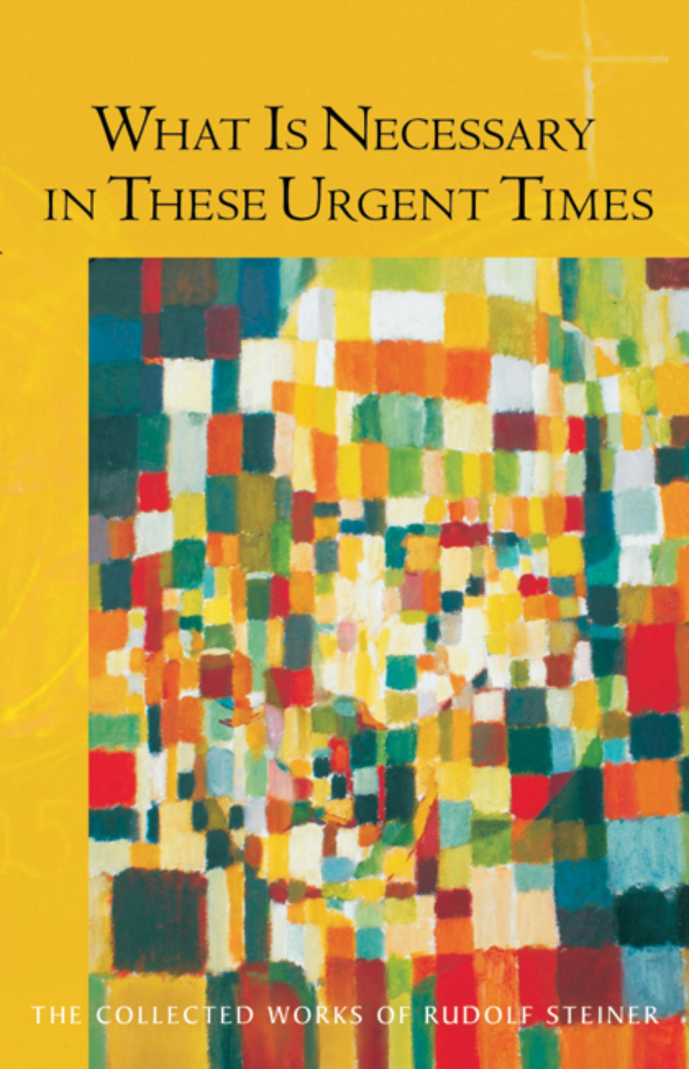 Cover image for What Is Necessary in these Urgent Times, isbn: 9781621510277