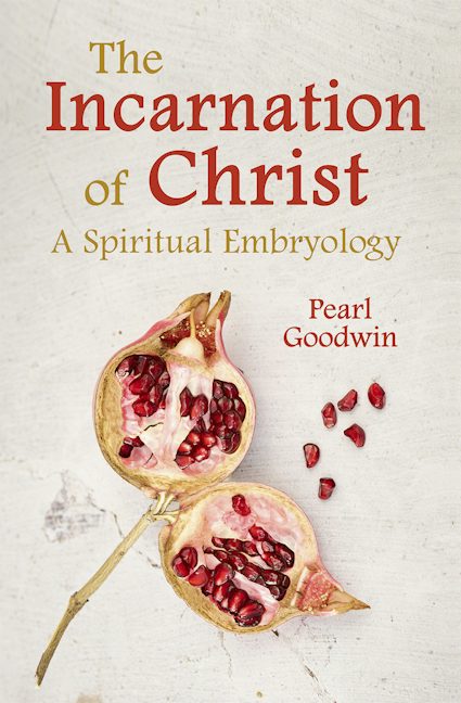 Cover image for The Incarnation of Christ, isbn: 9781782509929