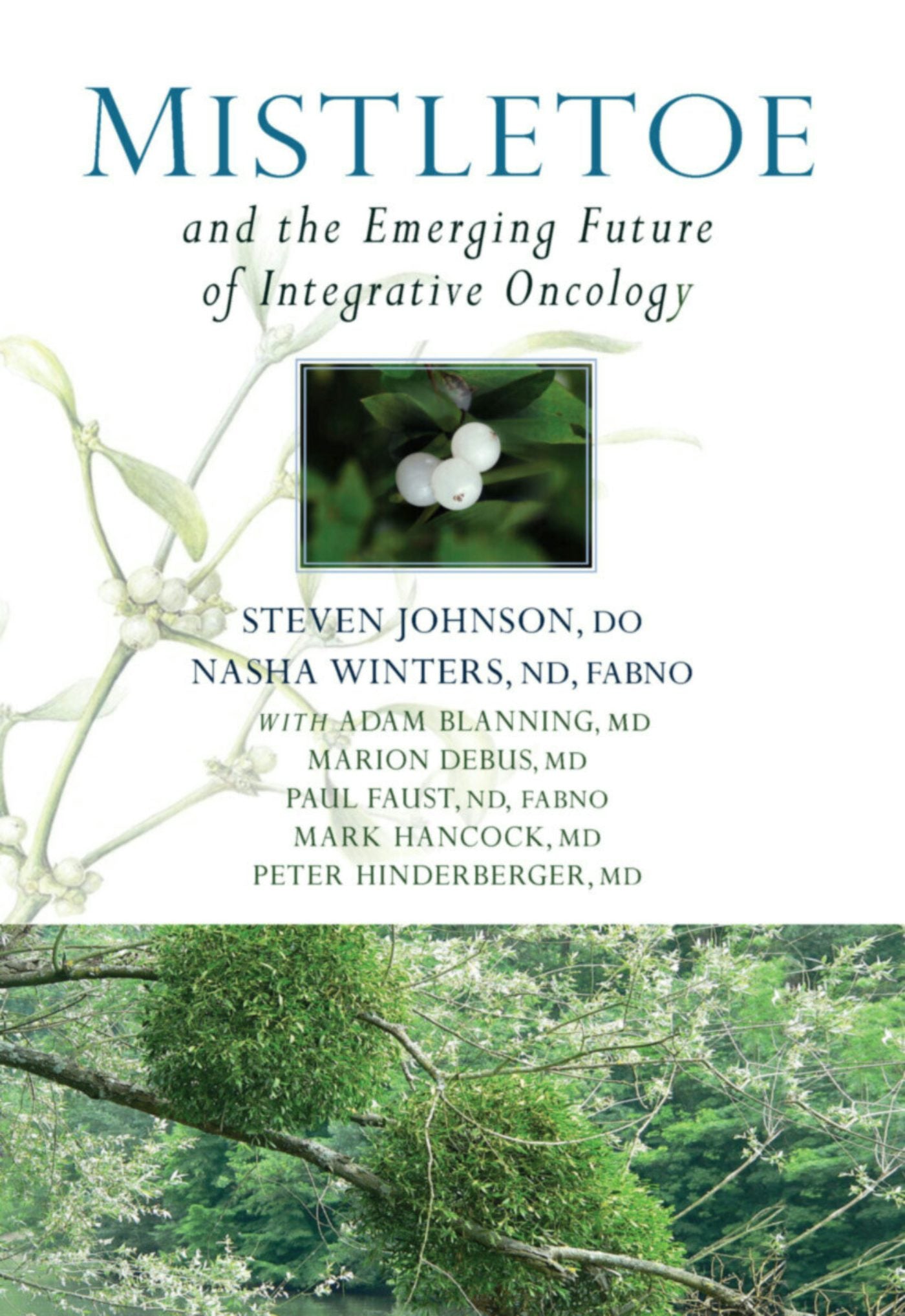 Cover image for Mistletoe and the Emerging Future of Integrative Oncology, isbn: 9781938685347