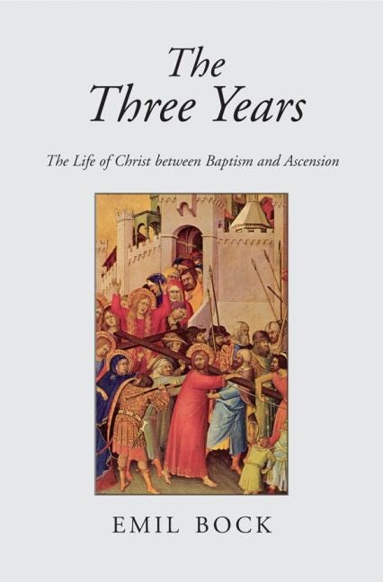 Cover image for The Three Years, isbn: 9780863155352