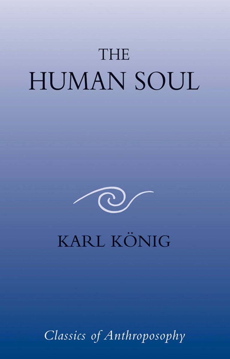 Cover image for The Human Soul, isbn: 9780863155789