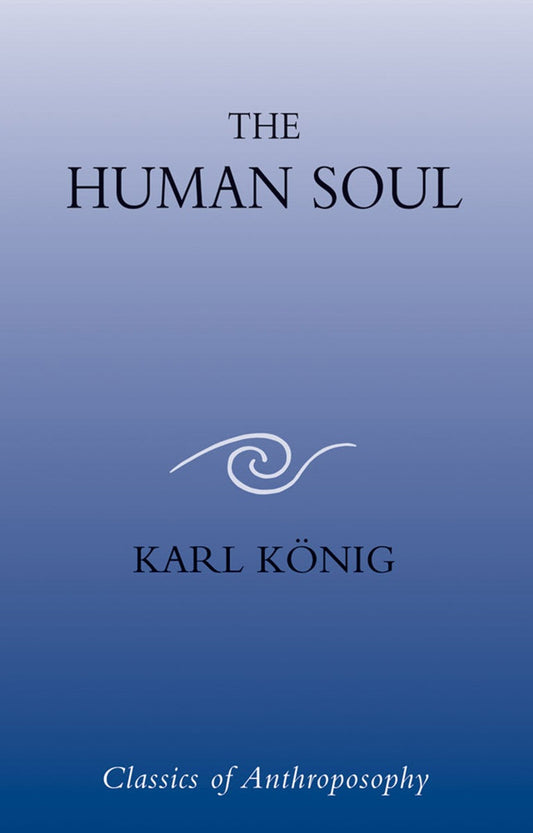 Cover image for The Human Soul, isbn: 9780863155789