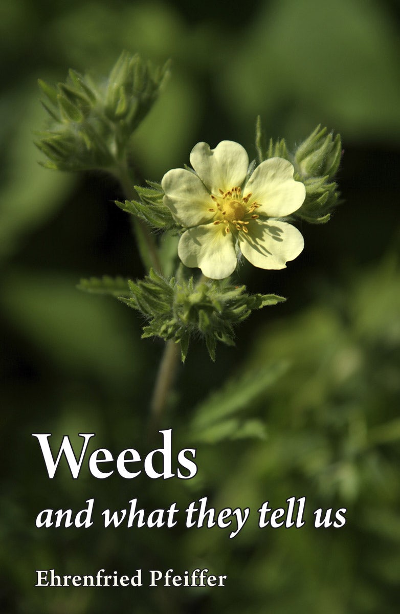 Cover image for Weeds and What They Tell Us, isbn: 9780863159251