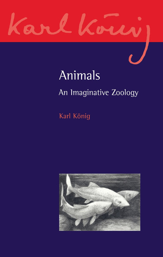 Cover image for Animals, isbn: 9780863159664