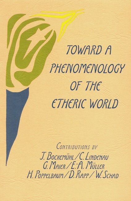 Cover image for Toward a Phenomenology of the Etheric World, isbn: 9780880101158