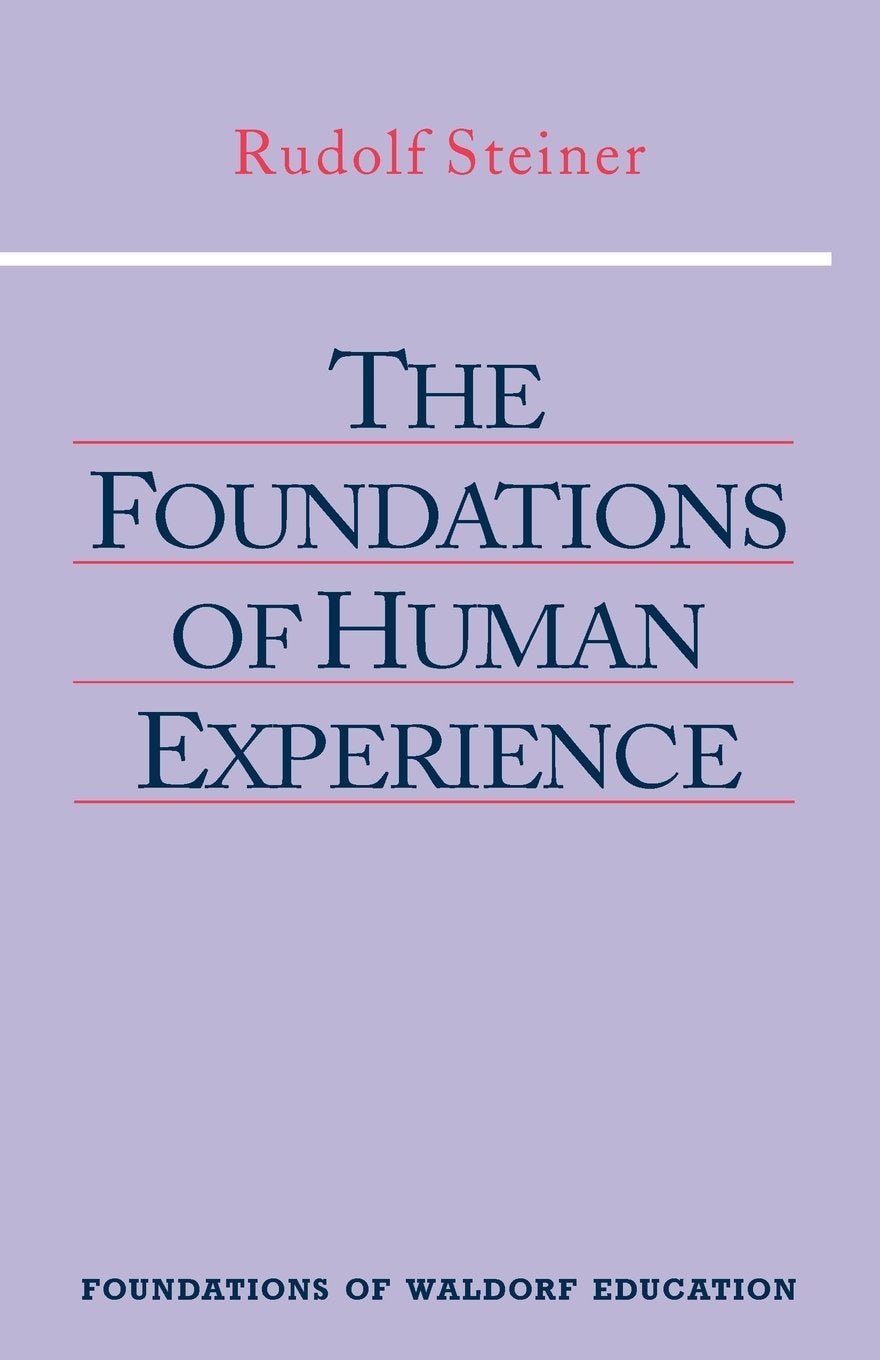 Cover image for The Foundations of Human Experience, isbn: 9780880103923