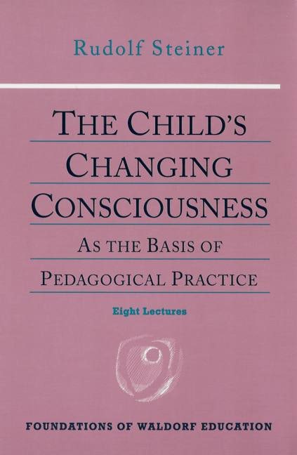 Cover image for The Child's Changing Consciousness, isbn: 9780880104104