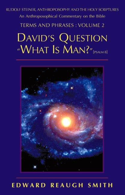 Cover image for David's Question, isbn: 9780880105002