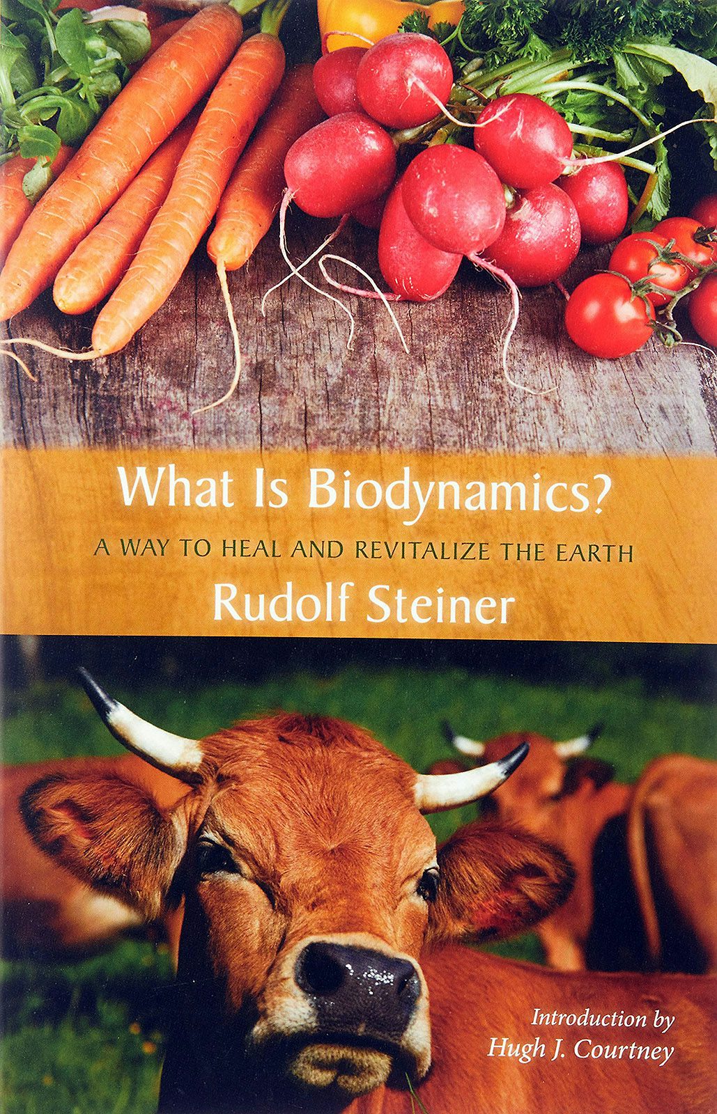 Cover image for What Is Biodynamics?, isbn: 9780880105408