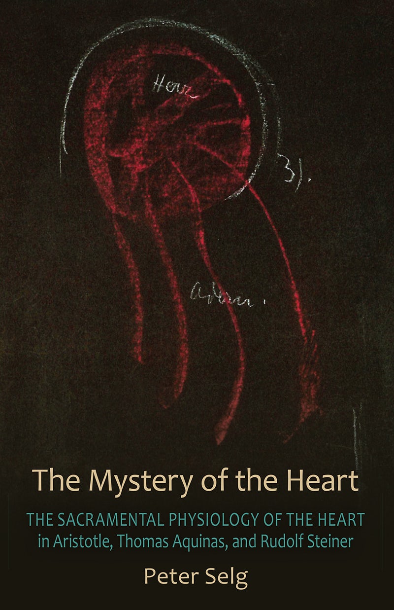 Cover image for The Mystery of the Heart, isbn: 9780880107518