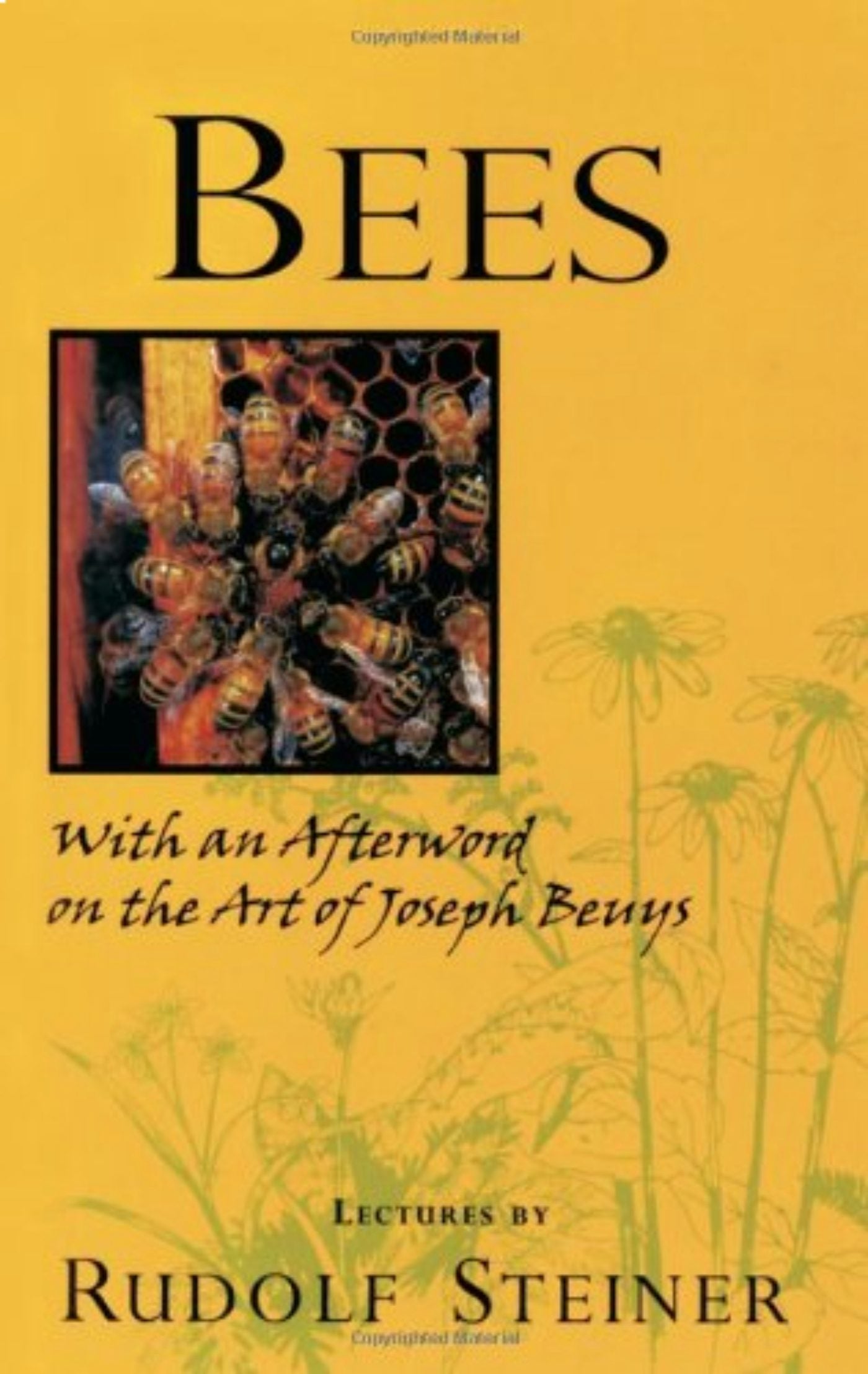 Cover image for Bees, isbn: 9780880108591
