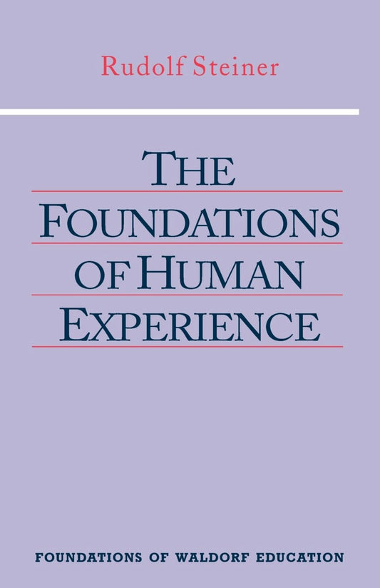 Cover image for The Foundations of Human Experience, isbn: 9780880109154