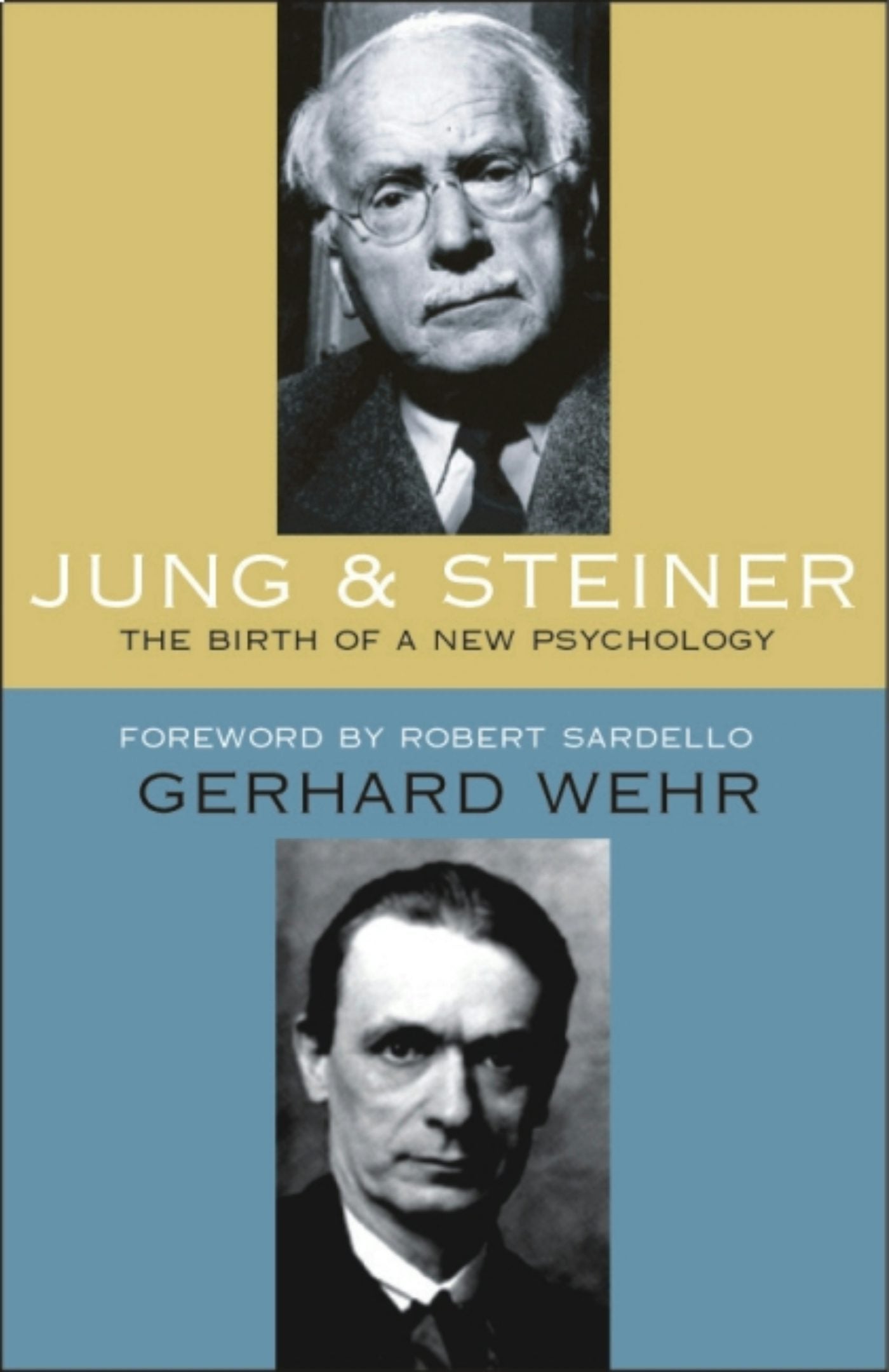 Cover image for Jung and Steiner, isbn: 9780880109253