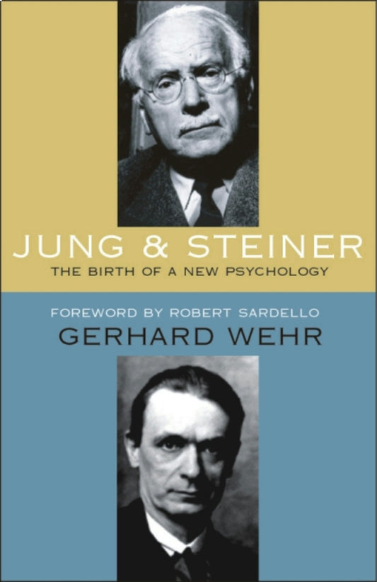 Cover image for Jung and Steiner, isbn: 9780880109253
