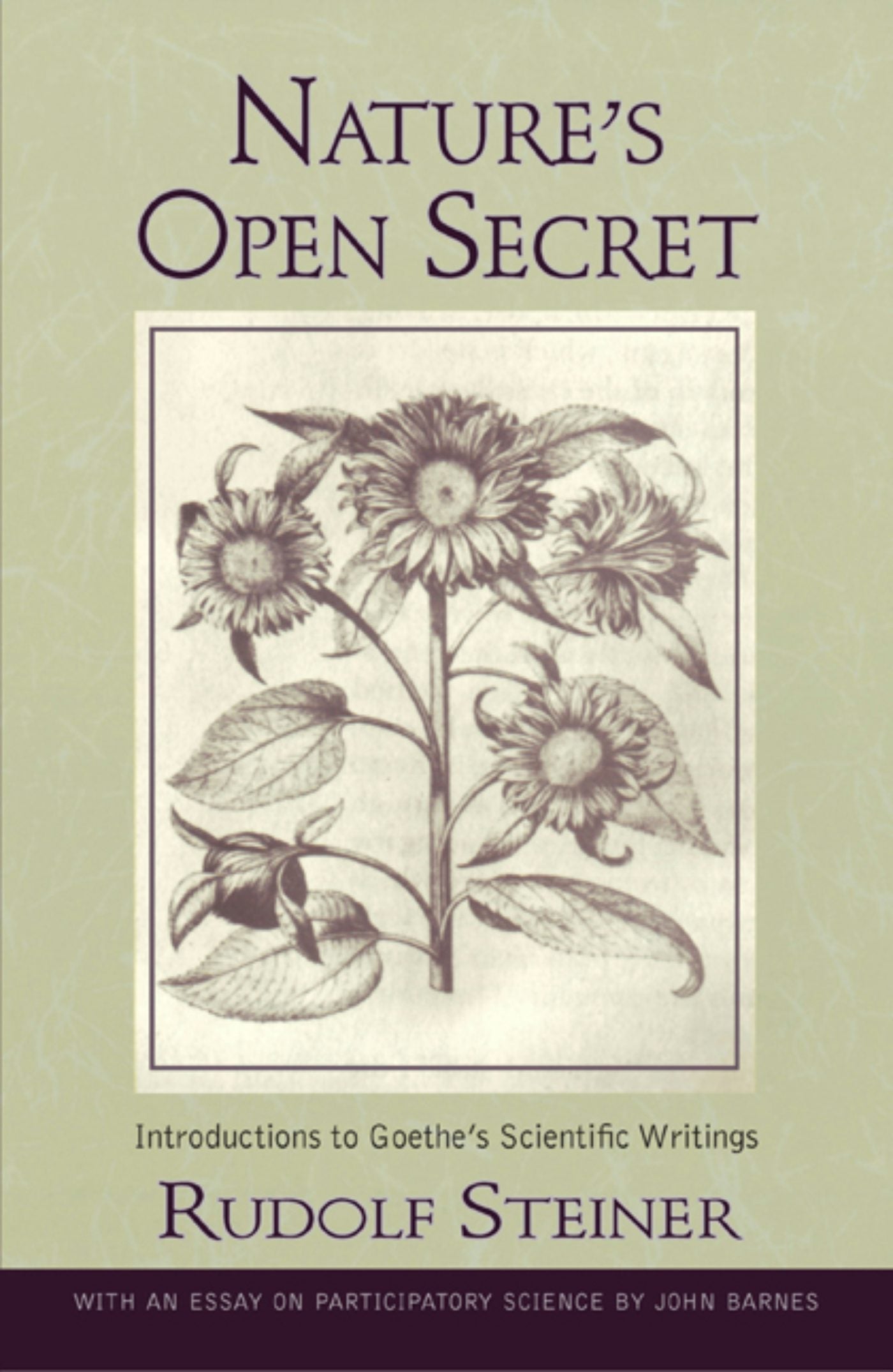 Cover image for Nature's Open Secret, isbn: 9780880109338