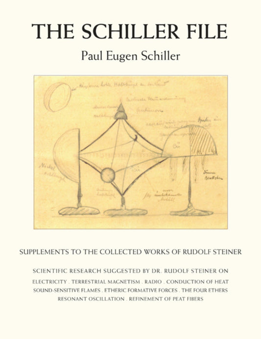 Cover image for The Schiller File, isbn: 9780880109536