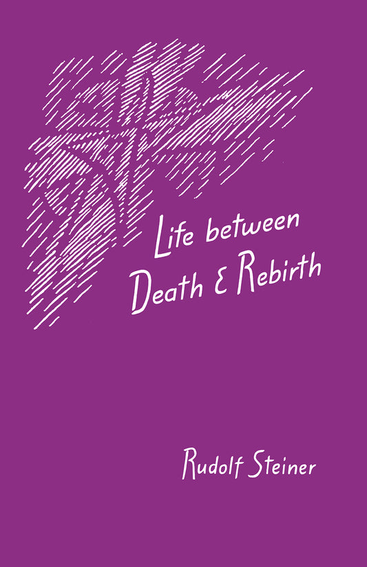 Life between Death and Rebirth
