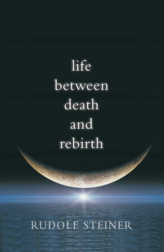 Cover image for Life between Death and Rebirth, isbn: 9780910142625