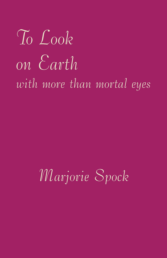 Cover image for To Look on Earth with More than Mortal Eyes, isbn: 9780916786793