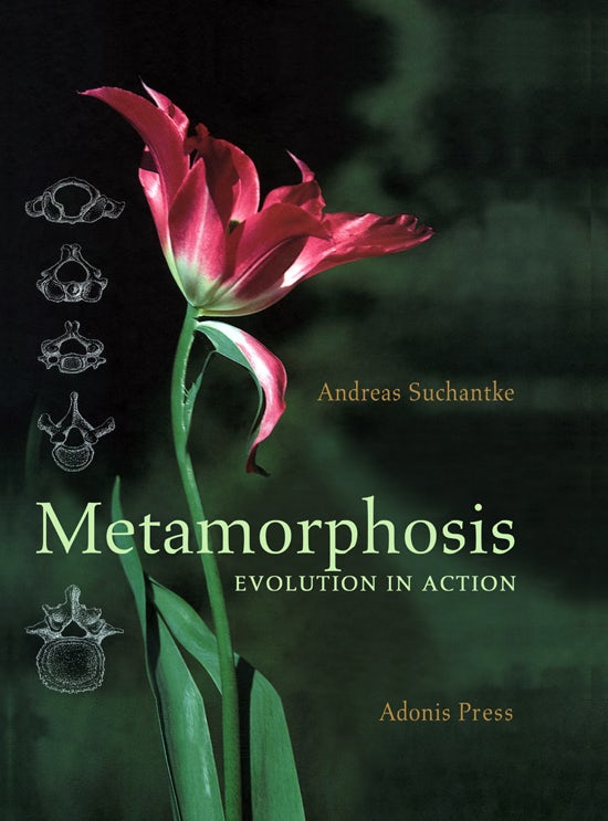 Cover image for Metamorphosis, isbn: 9780932776396