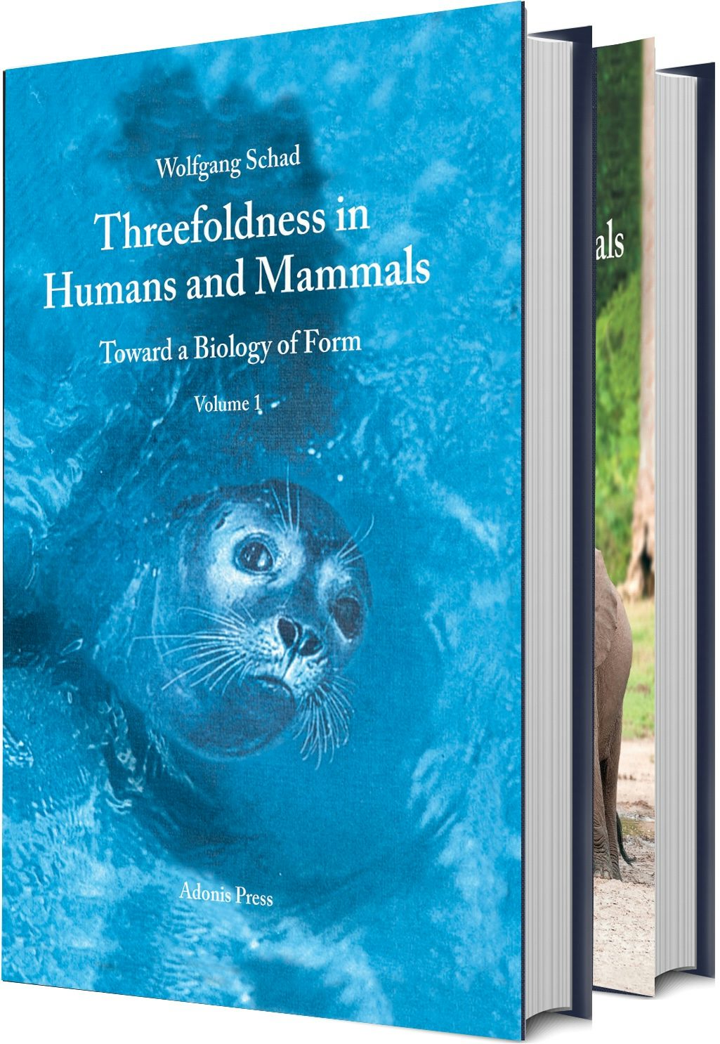 Cover image for Threefoldness in Humans and Mammals, isbn: 9780932776648