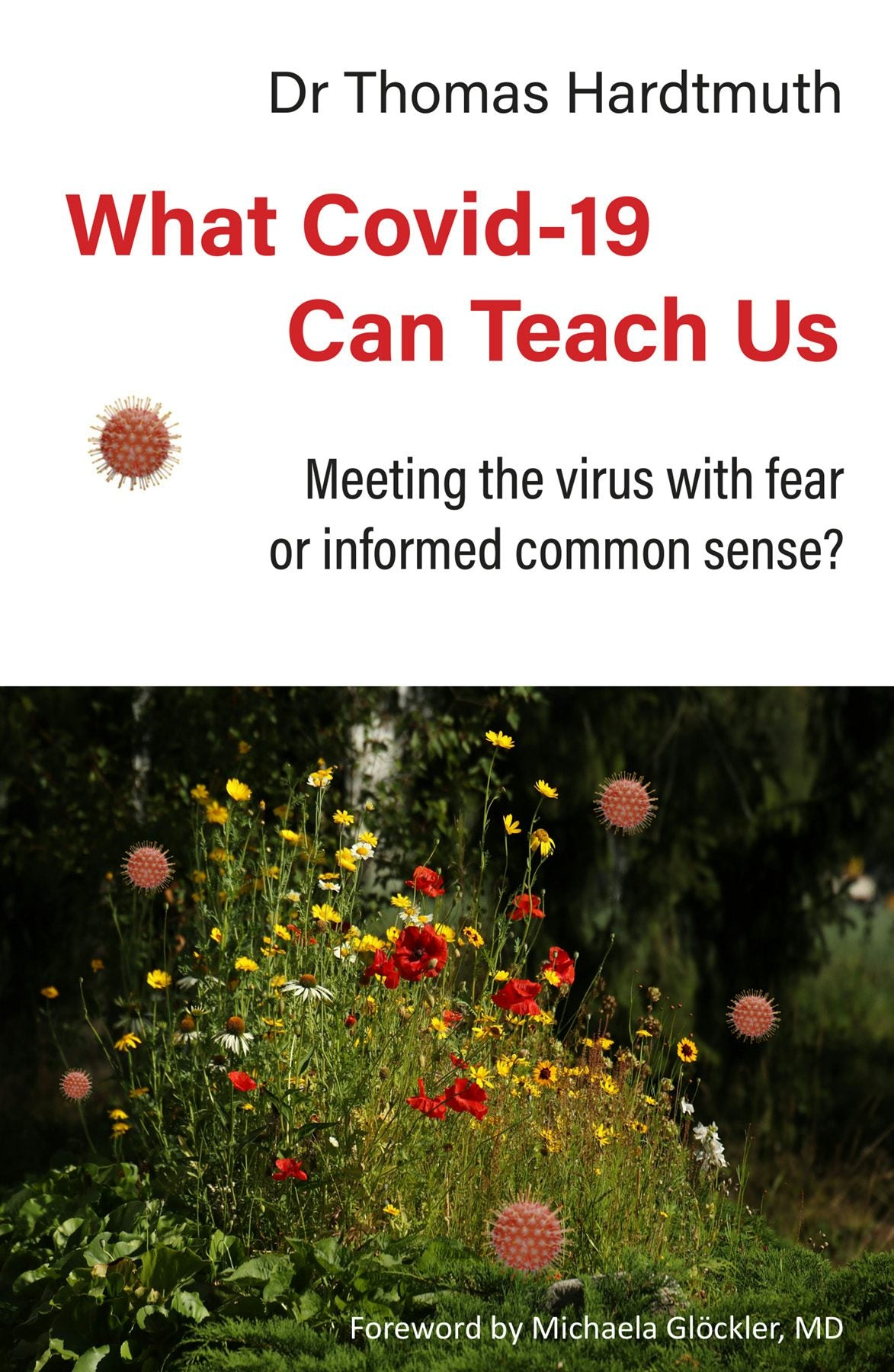 Cover image for What Covid-19 Can Teach Us, isbn: 9780952836445