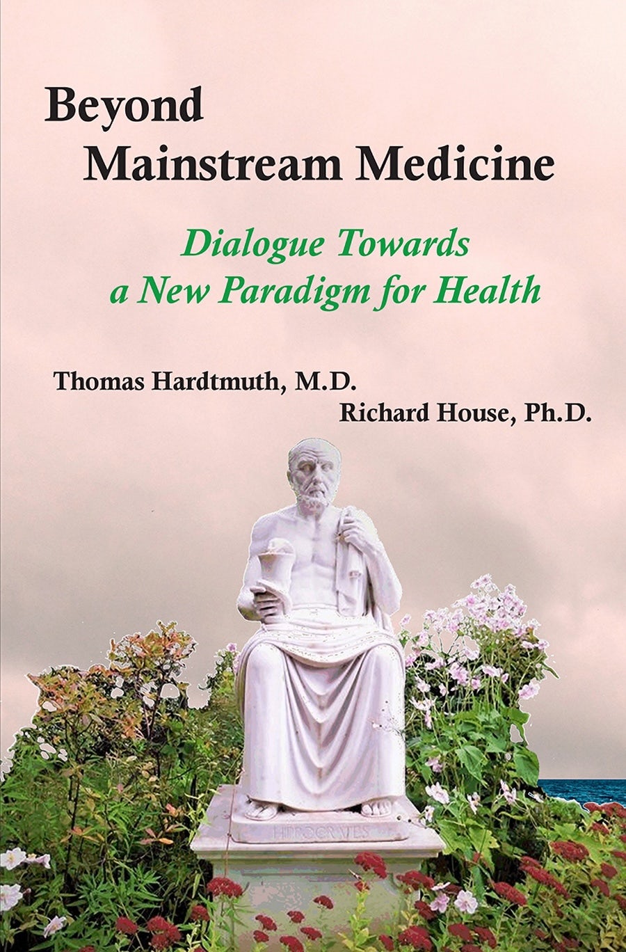 Cover image for Beyond Mainstream Medicine, isbn: 9780952836483