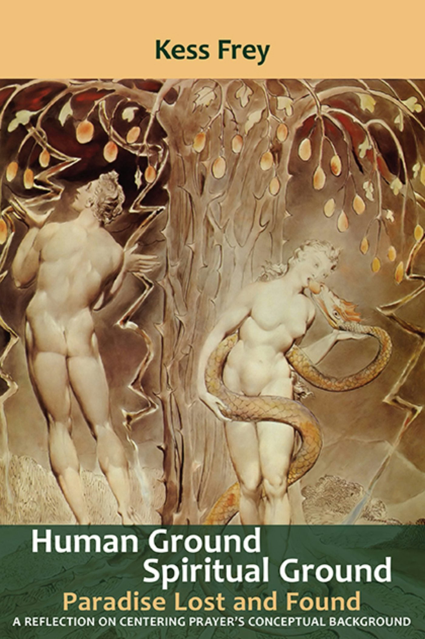 Cover image for Human Ground, Spiritual Ground, isbn: 9780983198482