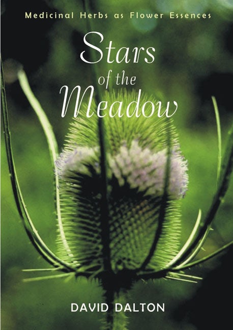 Cover image for Stars of the Meadow, isbn: 9781584200352