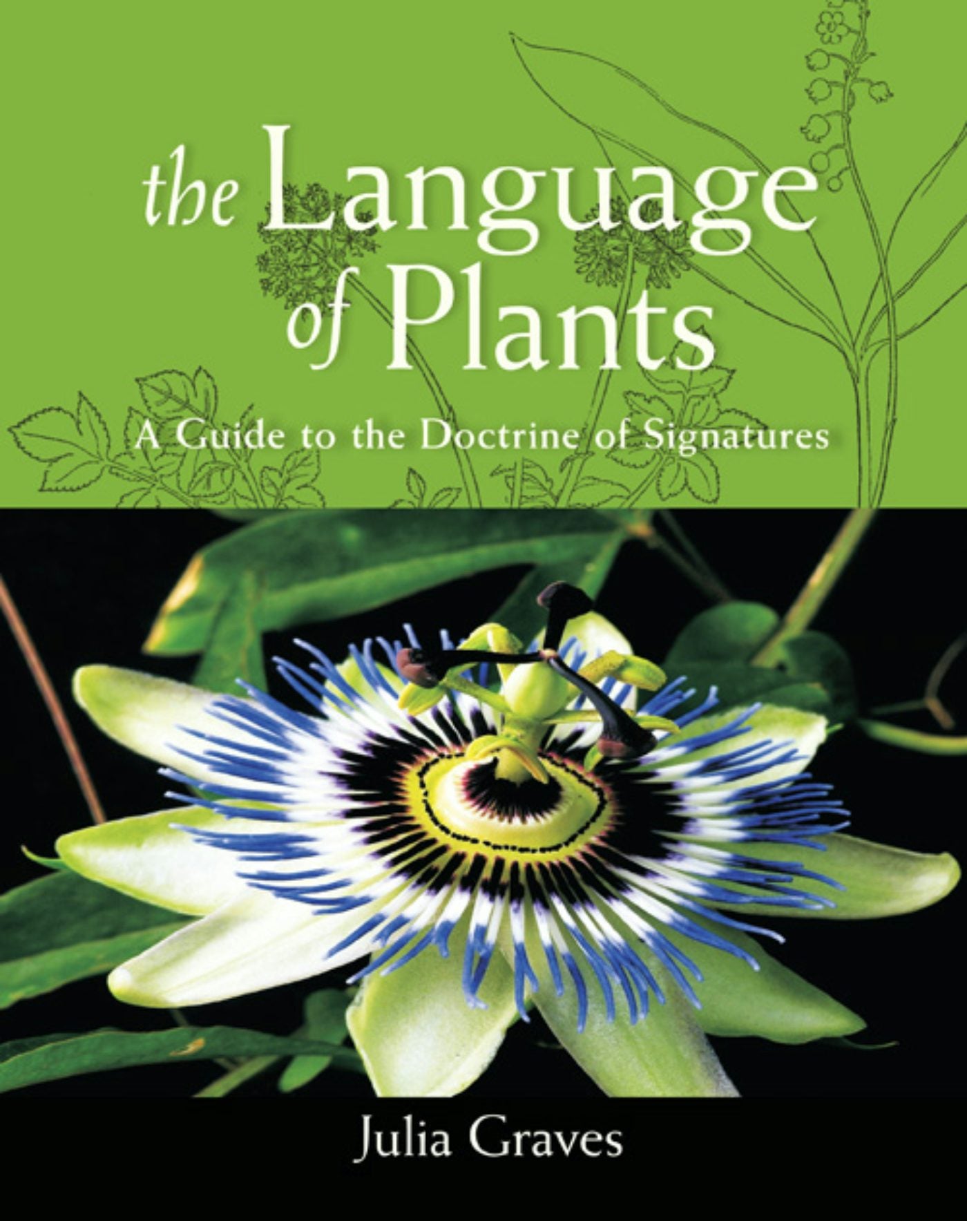 Cover image for The Language of Plants, isbn: 9781584201038