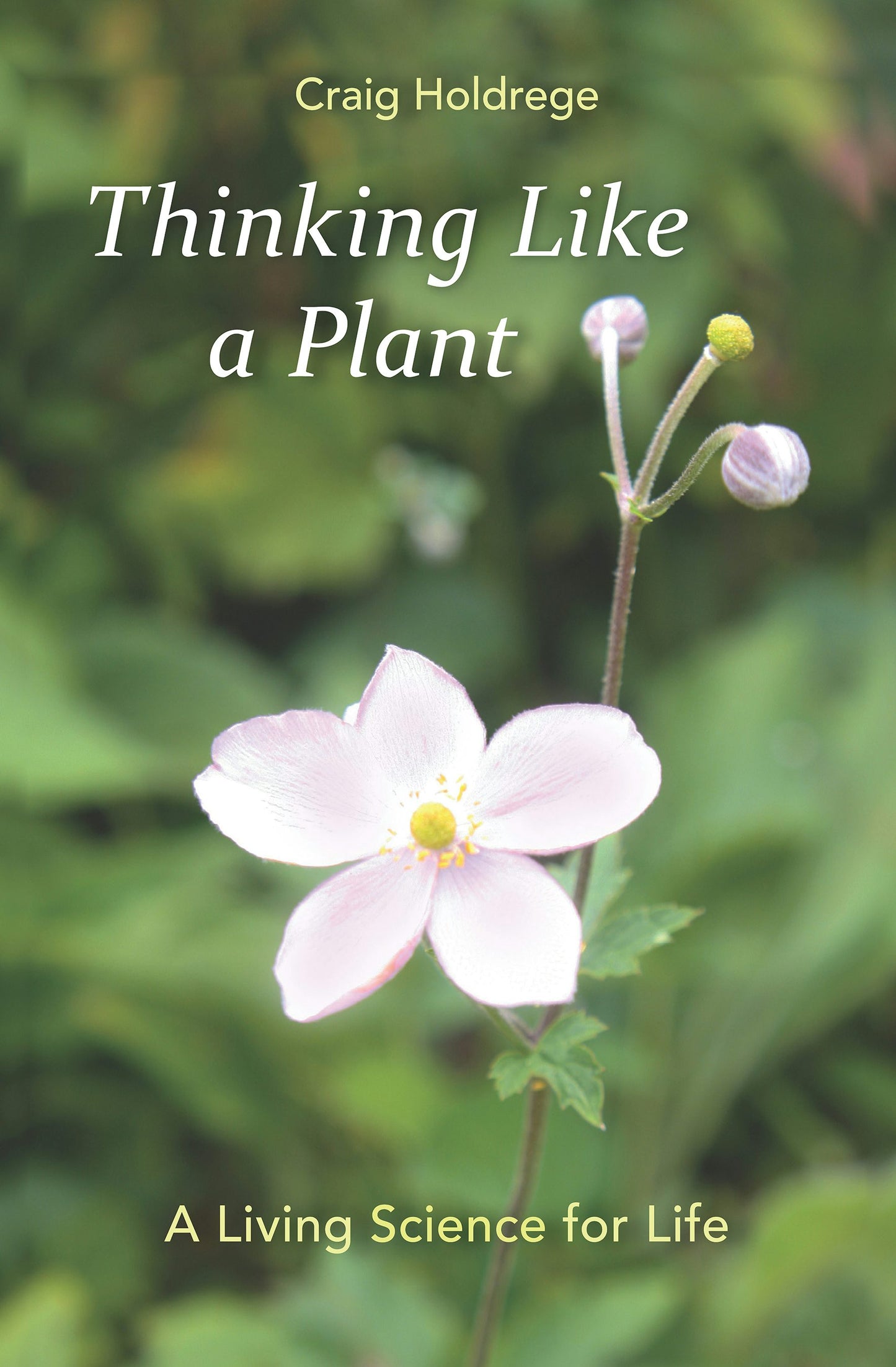 Cover image for Thinking Like a Plant, isbn: 9781584201441
