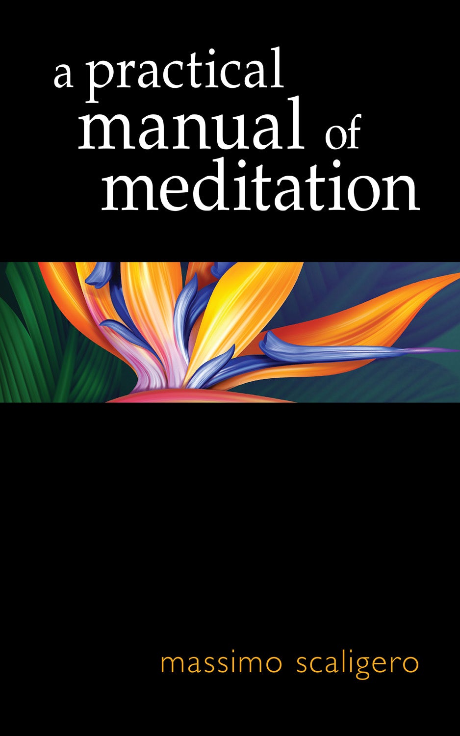 Cover image for A Practical Manual of Meditation, isbn: 9781584201908