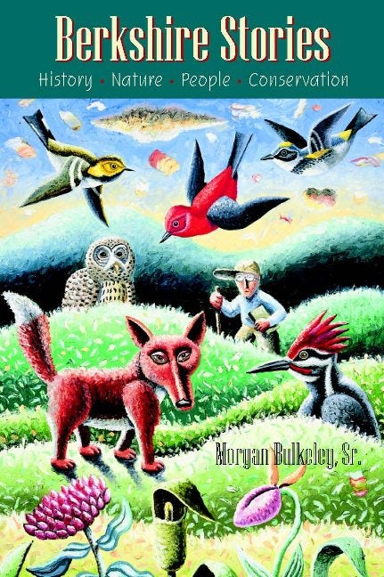 Cover image for Berkshire Stories, isbn: 9781584204763