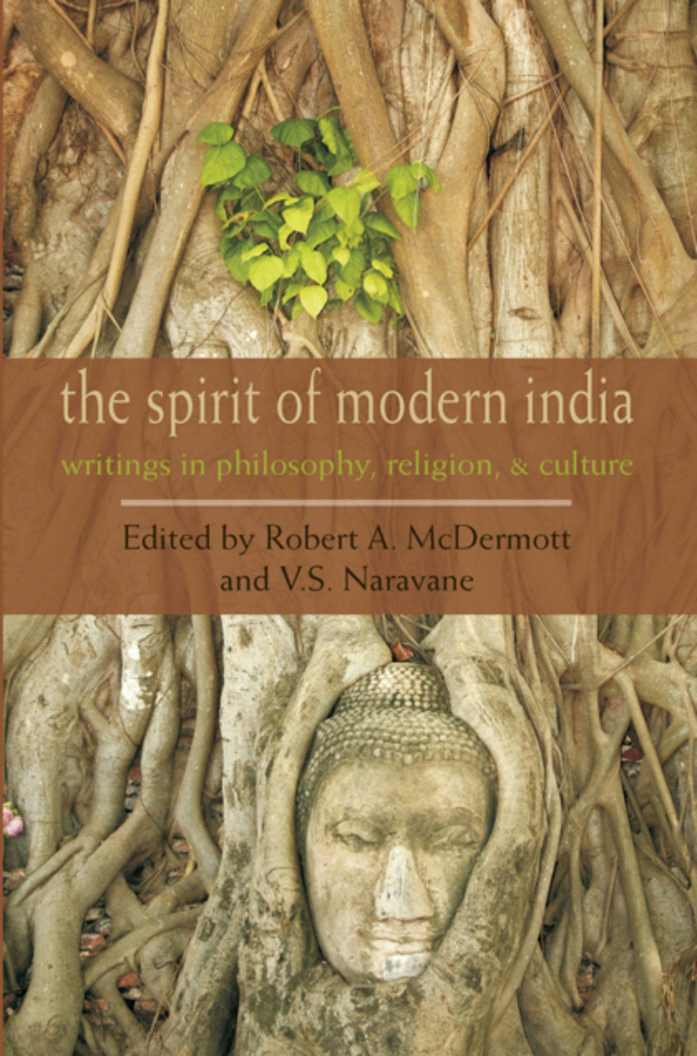 Cover image for The Spirit of Modern India, isbn: 9781584204954