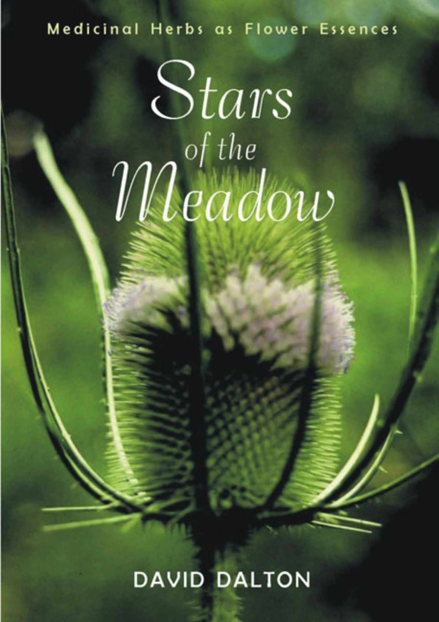 Cover image for Stars of the Meadow, isbn: 9781584205272