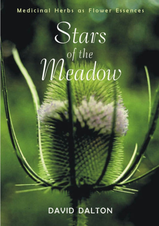 Cover image for Stars of the Meadow, isbn: 9781584205272