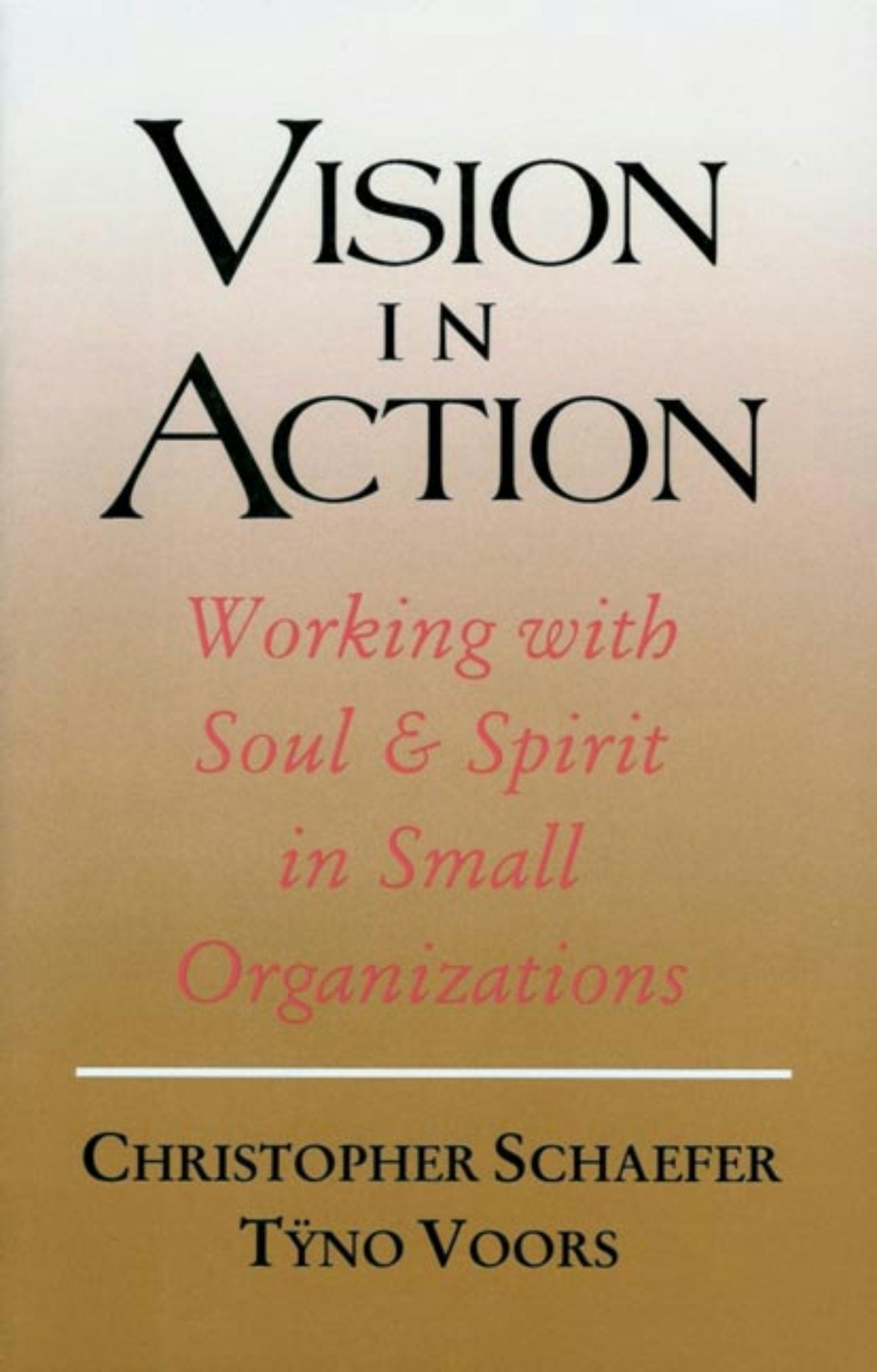 Cover image for Vision in Action, isbn: 9781584205319