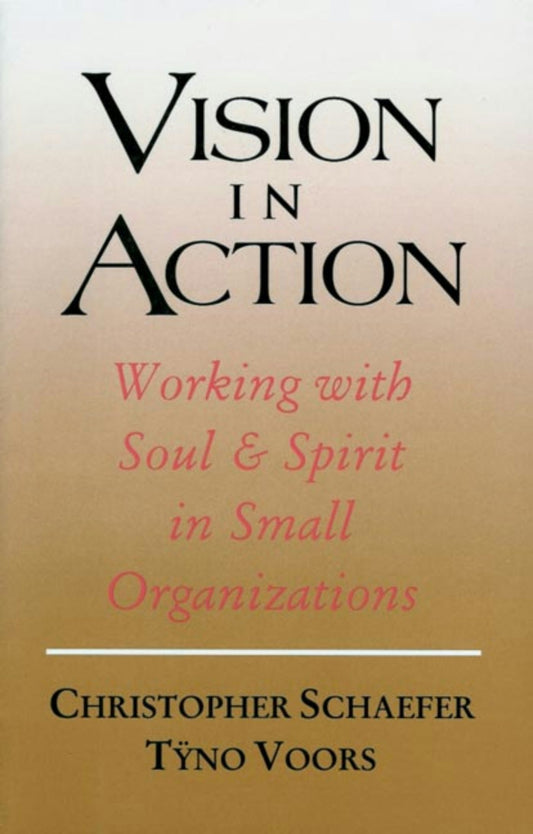 Cover image for Vision in Action, isbn: 9781584205319