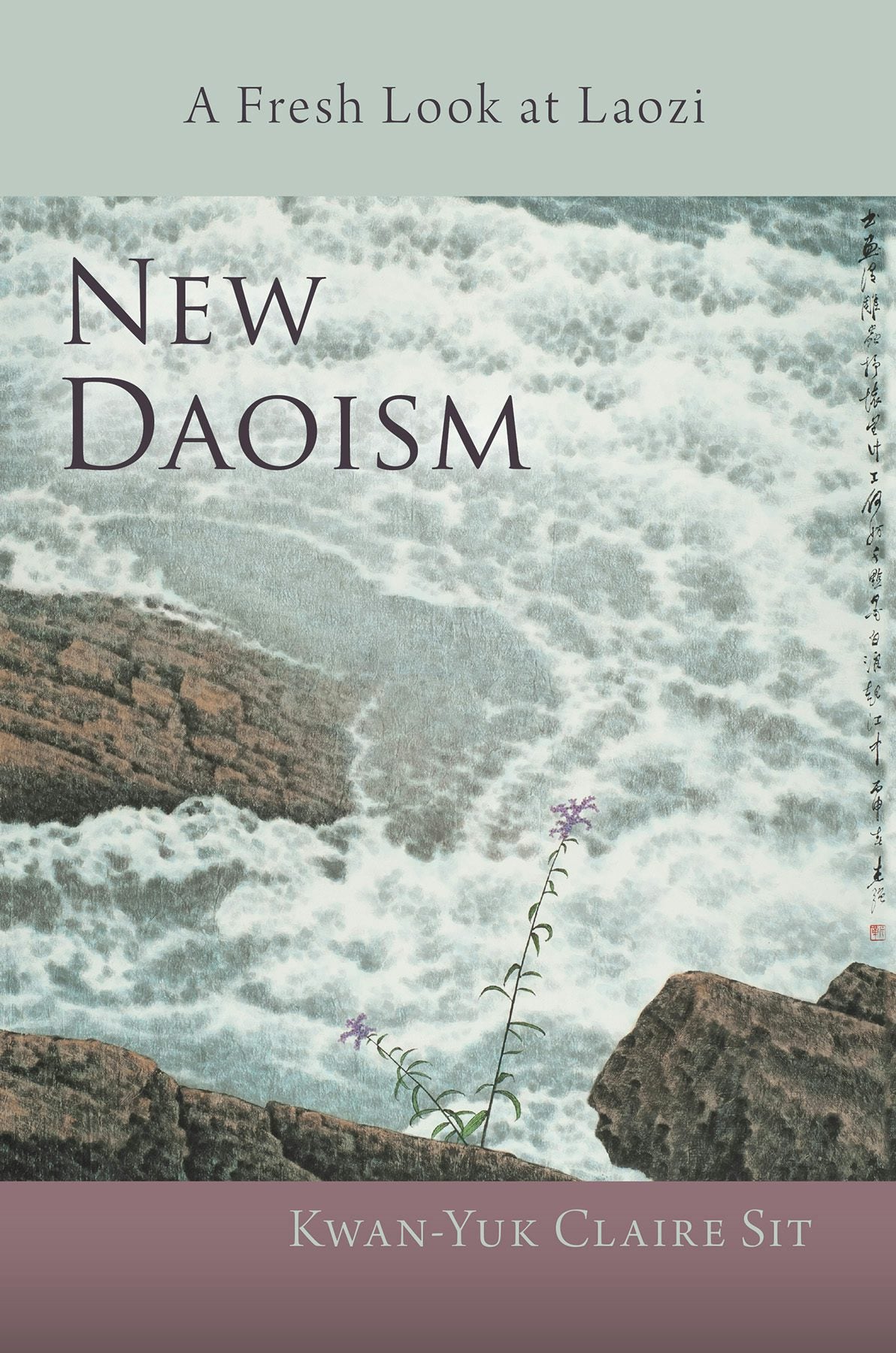 Cover image for New Daoism, isbn: 9781584208792