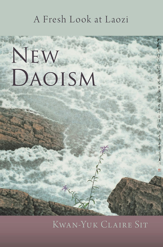 Cover image for New Daoism, isbn: 9781584208792