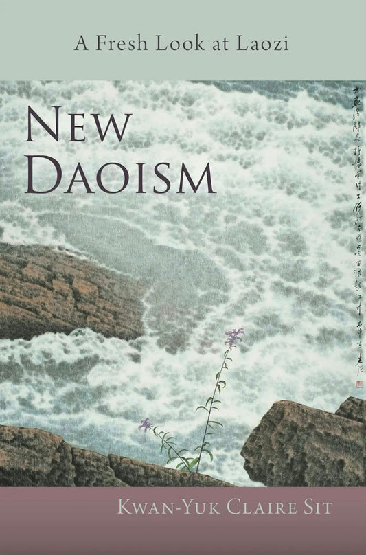 Cover image for New Daoism, isbn: 9781584208808