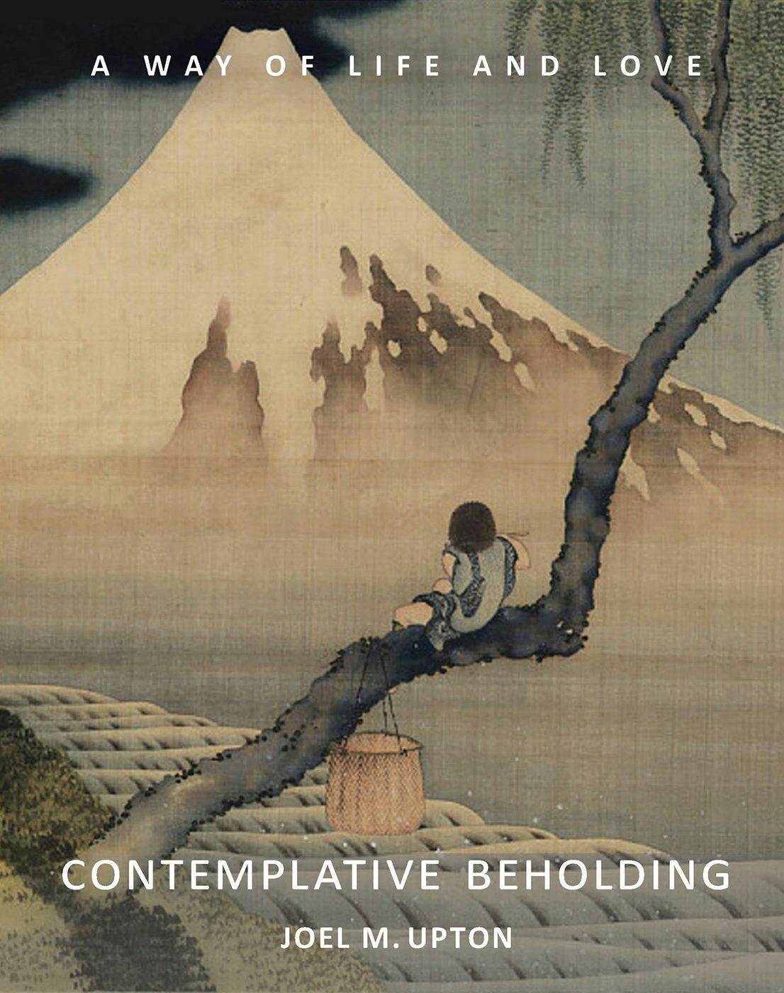 Cover image for Contemplative Beholding, isbn: 9781584209010