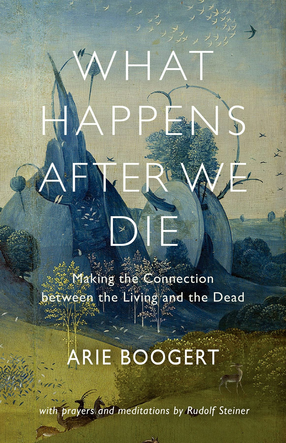 Cover image for What Happens after We Die, isbn: 9781584209119