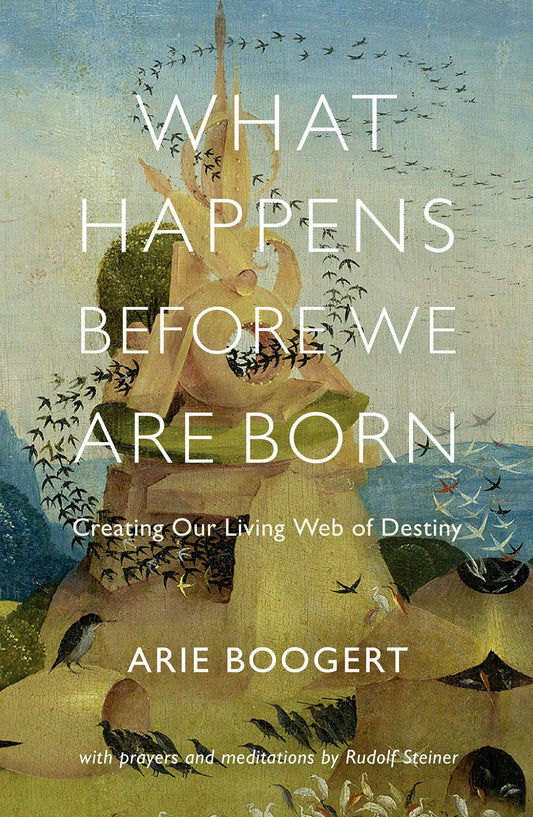 Cover image for What Happens before We Are Born, isbn: 9781584209133