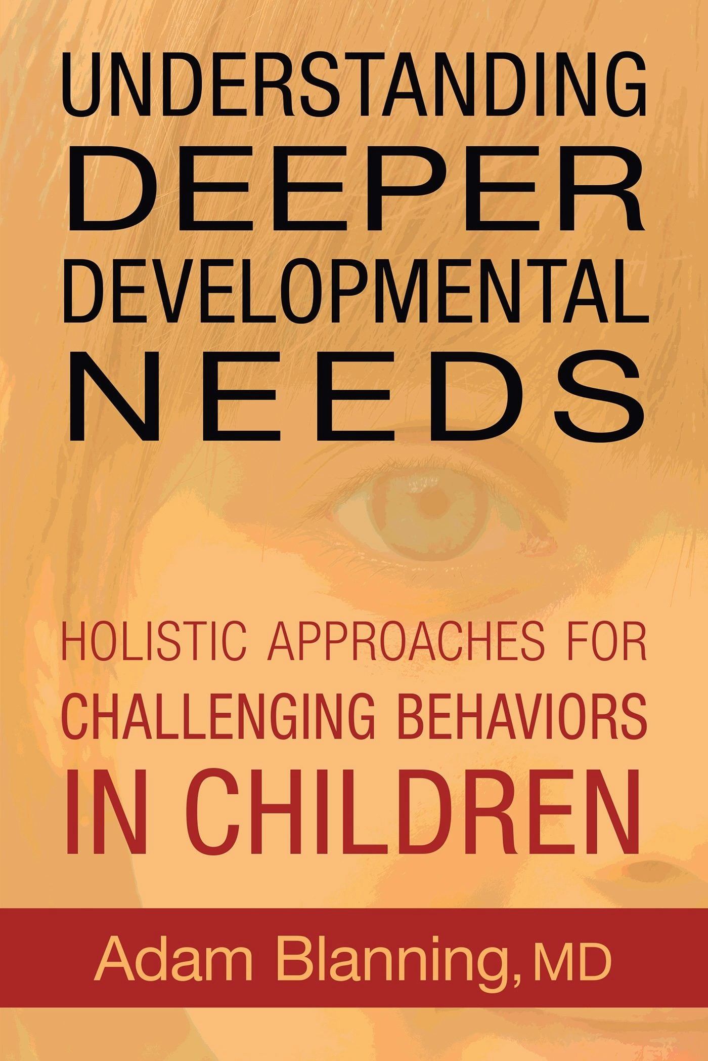 Cover image for Understanding Deeper Developmental Needs, isbn: 9781584209508