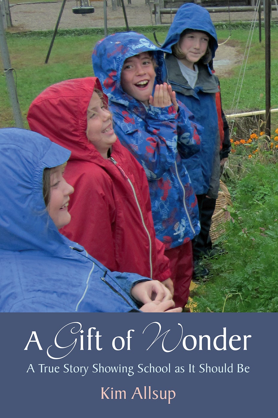 Cover image for A Gift of Wonder, isbn: 9781584209546