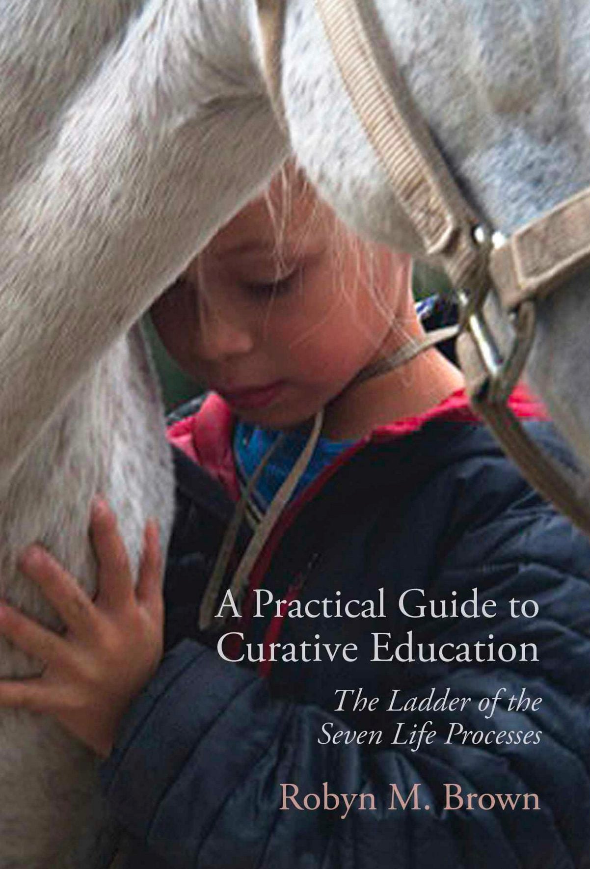 Cover image for A Practical Guide to Curative Education, isbn: 9781584209829